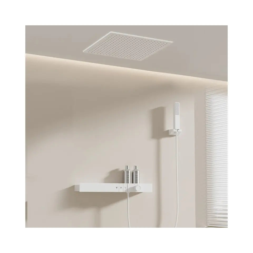 RainCloud Ceiling Showerhead